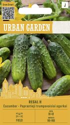 Cucumber Pickling Regal F1 Seed